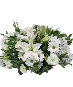 Arrimo Blanco