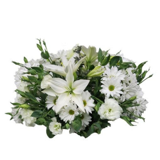 Arrimo Blanco
